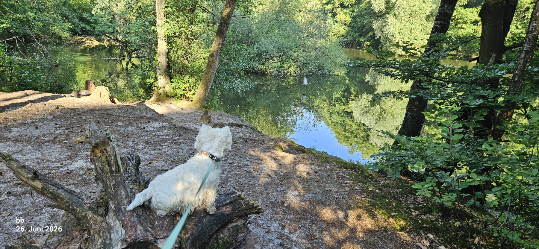 27.08.2026 Feierabendwanderung Dalbker Teich