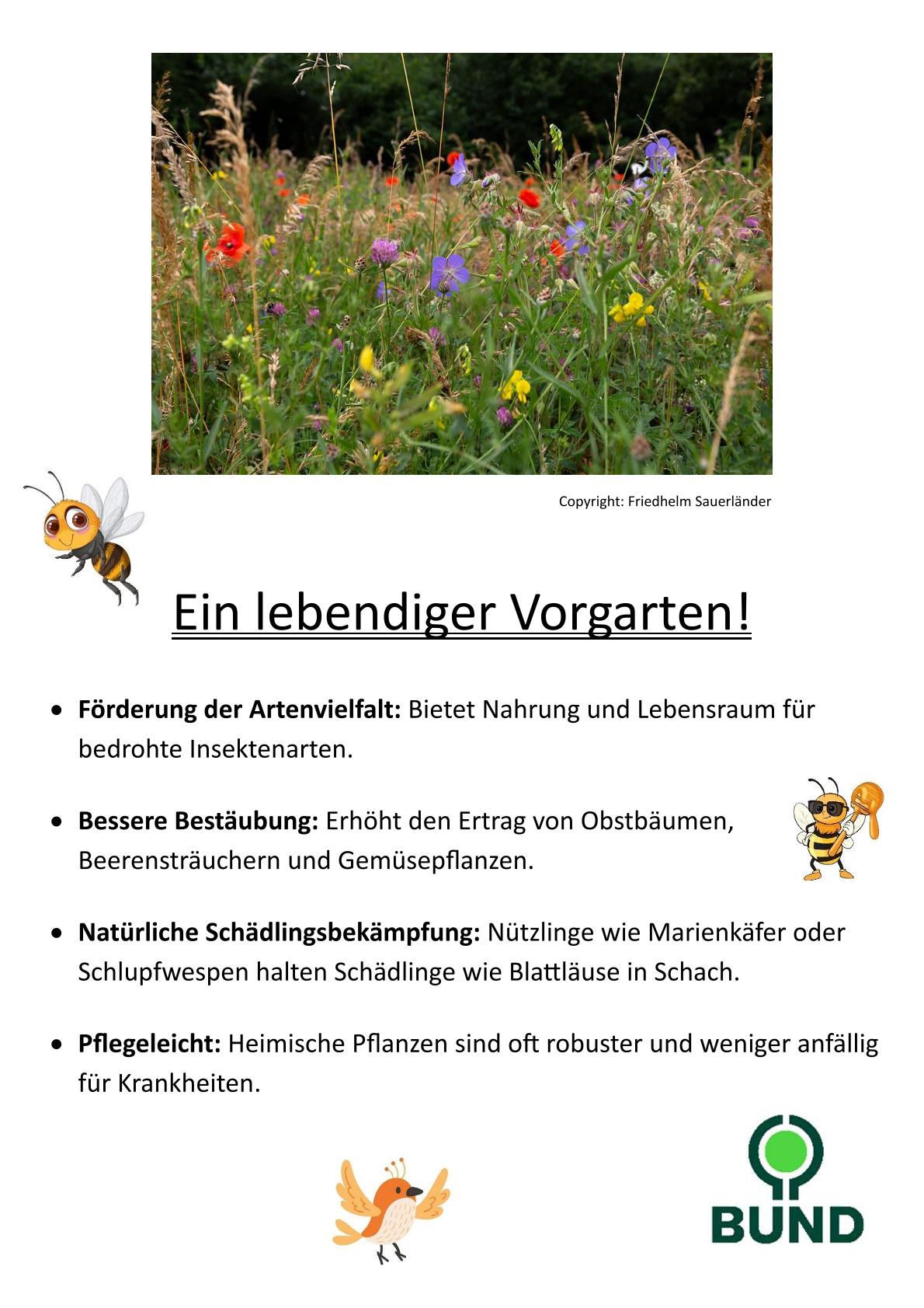 25.04.2026 Infostand Insektenfeundliche Vorgärten